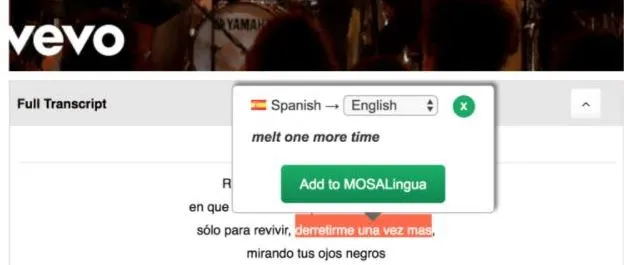 mosalingua-avis-application-web